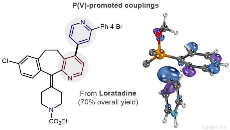 Chemists Develop Innovative Reaction to Accelerate Drug Discovery