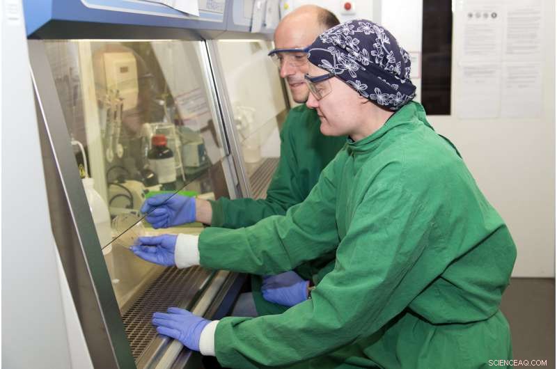 Emerging Targets in the Fight Against Antibiotic Resistance