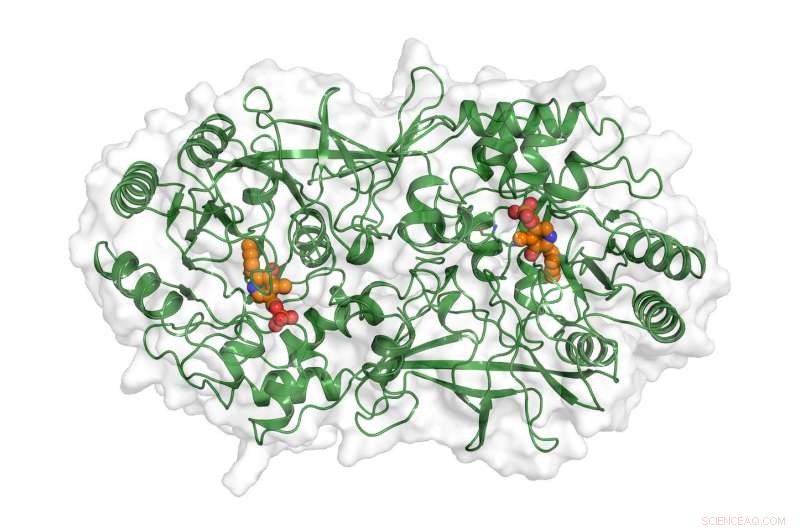 Emerging Targets in the Fight Against Antibiotic Resistance