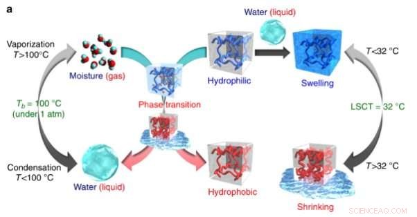 Kansai University Discovers Temperature‑Responsive Gel That Absorbs and Releases Moisture
