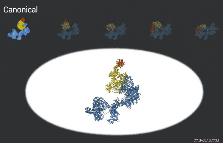 Freeze‑frame Microscopy Reveals How Molecules Lock and Load onto DNA