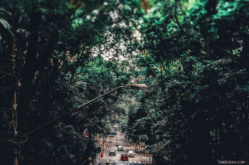 Flexible Phone Film Enables Life‑Saving Health Monitoring