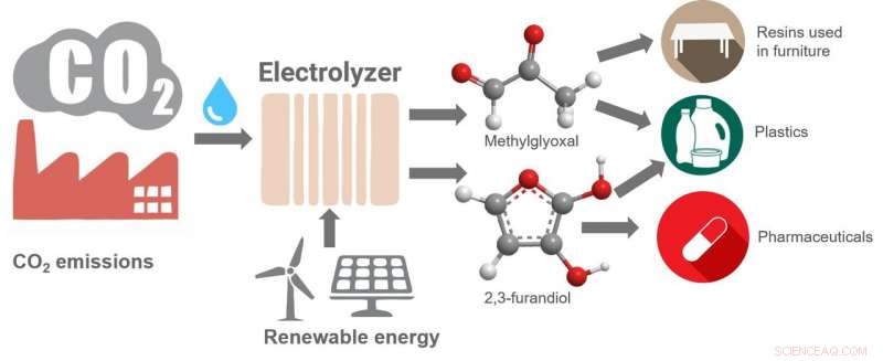 Turning CO₂ into Valuable Plastics and Chemicals: Rutgers Scientists Unveil New Catalytic Process