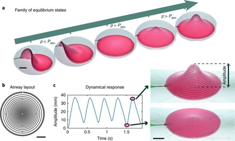 Innovative Baromorph: Merging Pneumatics and Hydrogels for Advanced Soft Robotics