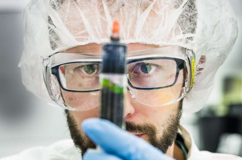 Living Electrodes: Merging Bacteria with Organic Electronics