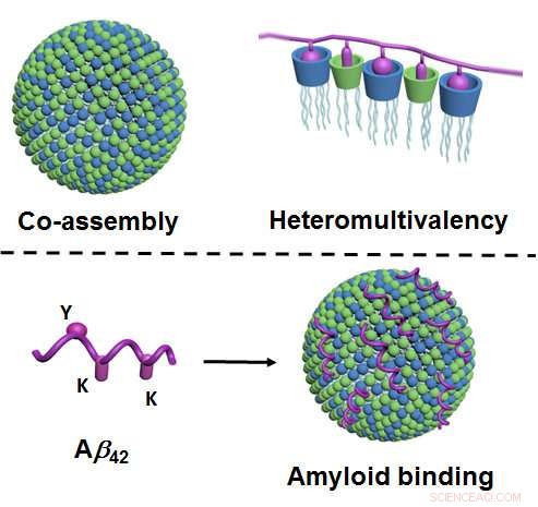 Chemists Introduce Breakthrough Method for Highly Selective Protein Binding