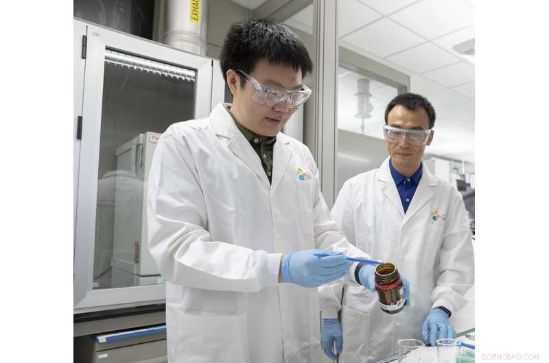 Harvesting Drinkable Water from Desert Air Using Hydrogel Technology