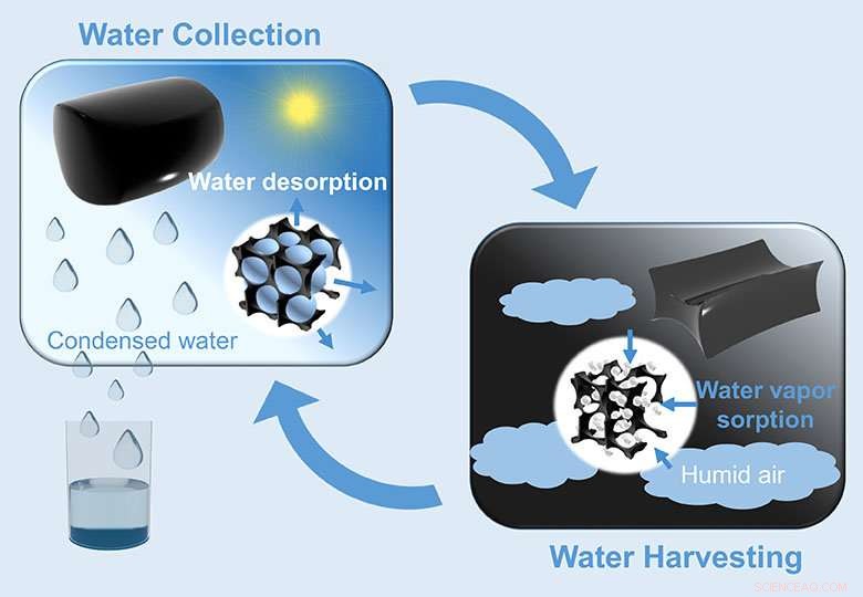Harvesting Drinkable Water from Desert Air Using Hydrogel Technology