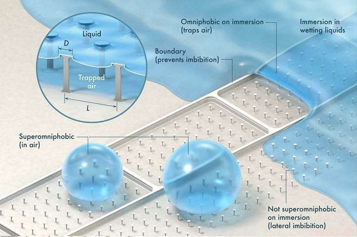 Revisiting Surface Science: New Insights into Microtextured Surfaces and Omniphobicity