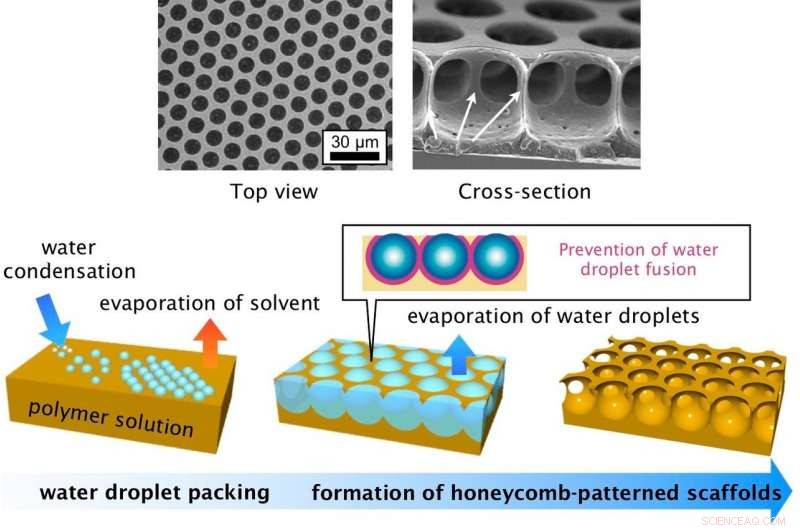 Creating Honeycomb Polystyrene Films with the Breath-Figure Technique
