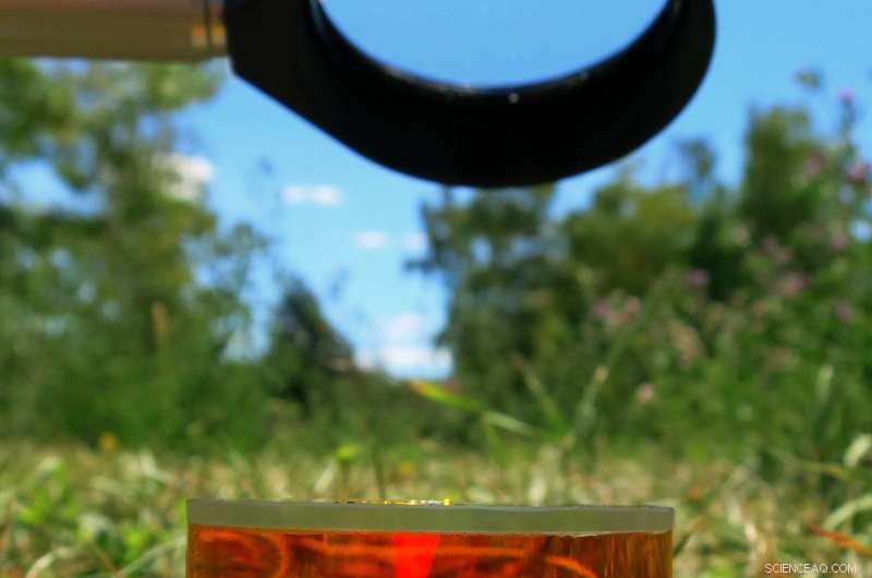 Sunlight-Driven Process Eliminates Water Pollutants Without Complex Equipment