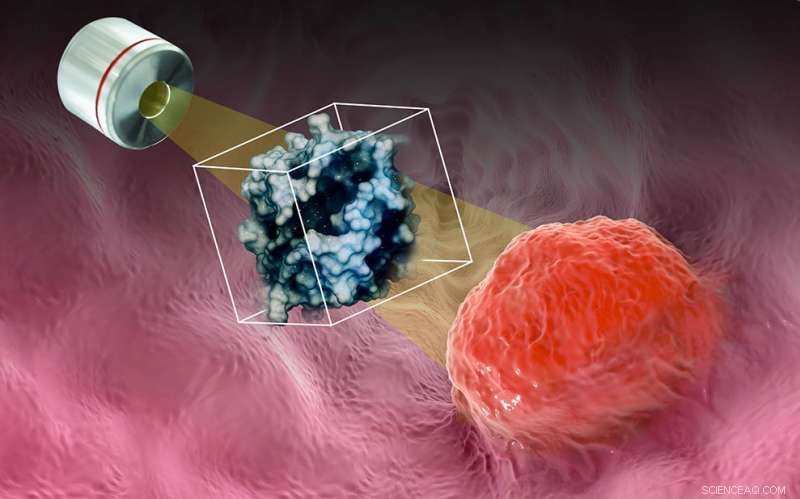 Advanced Microfluidic Platform Accurately Detects Proteins from as Few as 12 Cells
