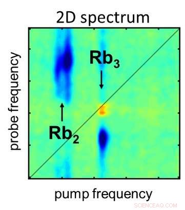 Pioneering Use of 2‑D Spectroscopy on Isolated Molecules Unveils New Insights