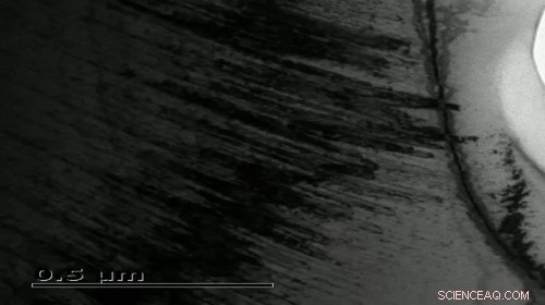 Boosting Strength and Ductility of High‑Entropy Alloys with Ordered Oxygen Complexes