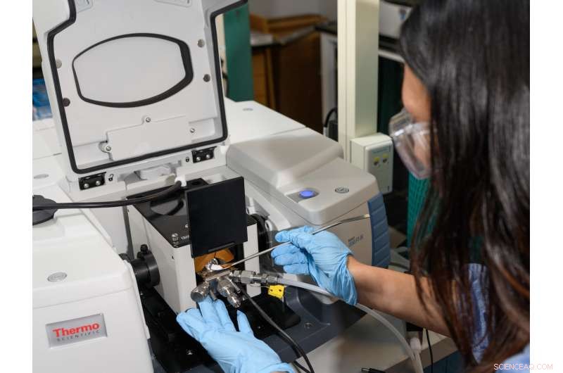 Uncovering a 75-Year-Old Mystery Could Revolutionize Farm Fertilizer Production