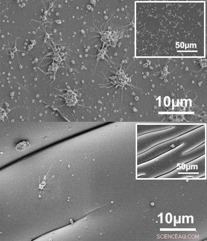 Engineers and Clinicians Employ Dynamic Wrinkling to Prevent Blood Clotting on Synthetic Grafts