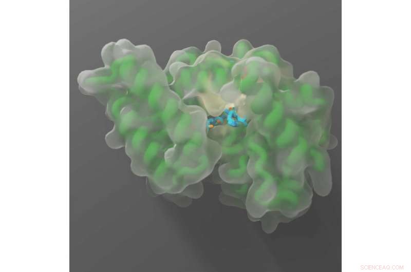 Revolutionary High-Throughput Platform Accelerates Activity Mapping of Emerging Cancer Drug Targets