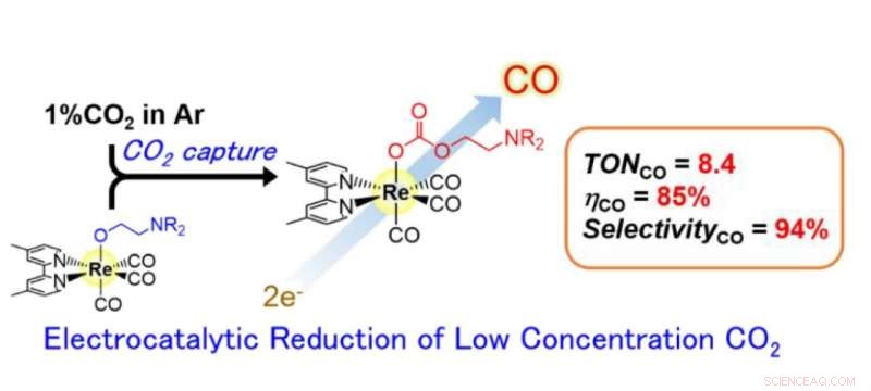 Tokyo Tech Scientists Pioneer Direct Electrocatalytic CO₂ Reduction, Advancing Smart Carbon Capture