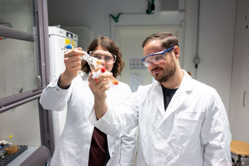 Revolutionary Catalyst Achieves Unprecedented Efficiency in Aromatic Amine Synthesis