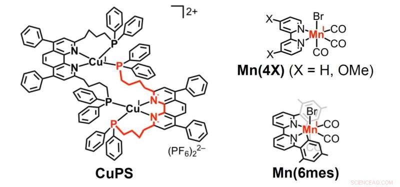 Advances in Carbon Capture: Earth‑Abundant Elements Drive Photocatalytic Efficiency