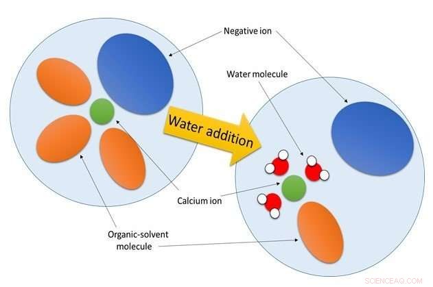 Electrolyte Structure: The Key to Optimizing Battery Performance