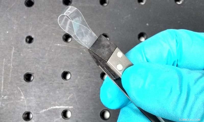 New Synthetic Material Grows Thicker When Stretched: A Breakthrough in Elasticity