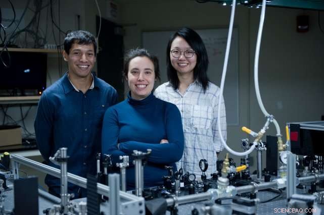 How Plants Harness Sunlight: A Deep Dive into Photosynthetic Energy Management