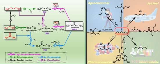 Scientists Pioneer Innovative Biomass Conversion Technique