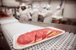 Portable Device Accelerates Food Quality Testing for Rapid Contamination Detection