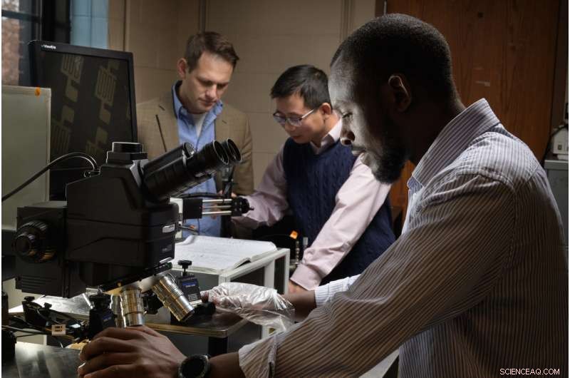 Revolutionary Organic Plastic Enables Electronics to Operate Across Extreme Temperatures Without Performance Loss