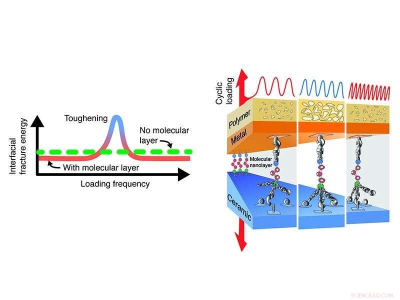 Nanoglue Boosts Composite Toughness Multiple Times During Dynamic Loading