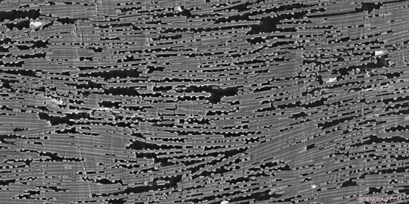 Premium Custom-Made Artificial Mother‑of‑Pearl – Precision Craftsmanship & Superior Quality