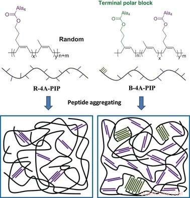Nature‑Inspired Approach Yields Durable, Recyclable Rubber Matching Natural Vulcanized Rubber