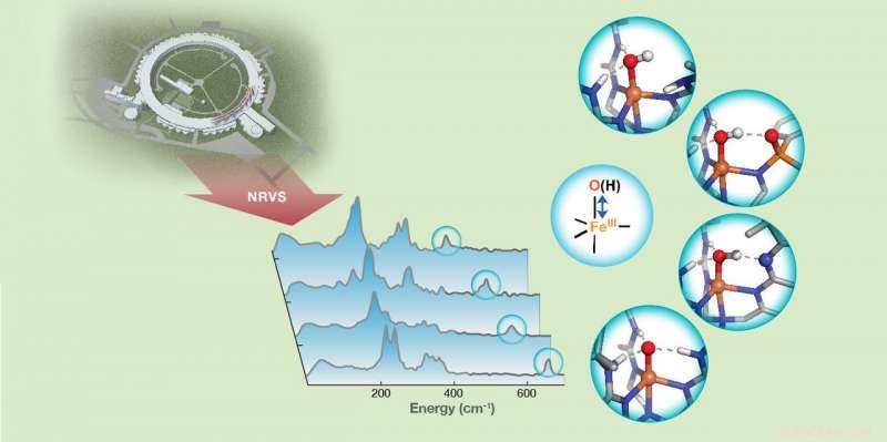 Advanced NRVS Technique Reveals Hydrogen Bond Strength in Iron Complexes
