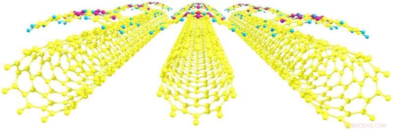 Siberian Scientists Reveal Durable Hybrid Photoelectric Nanomaterials