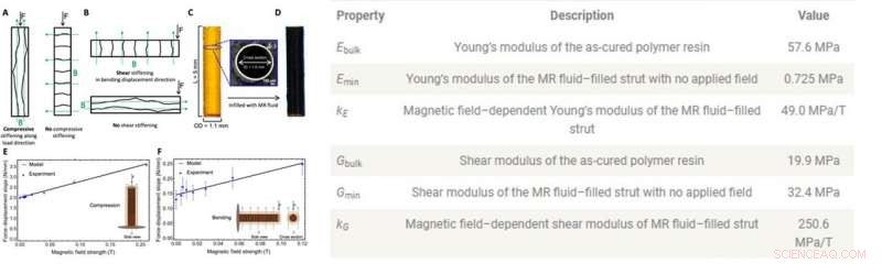 Field‑Responsive Mechanical Metamaterials (FRMMs): Smart Structures for Adaptive Mechanical Response