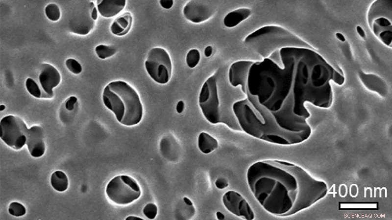 Revolutionizing Membrane Technology: Argonne’s Innovative Approach for Robust, Tailored Materials