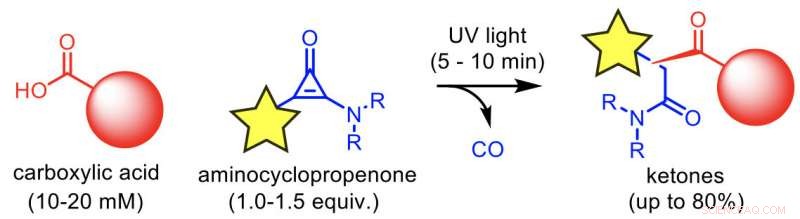 Fast Light-Triggered Aminocyclopropenone Modification of Carboxylic Acids