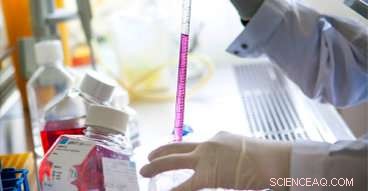 Boosting Bone Formation: Pre-Osteoblast Response to Surface-Enhanced 3‑D Printed Scaffolds