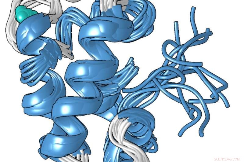 Discover How a Bacterial Protein May Source Rare‑Earth Materials for Next‑Gen Smartphones
