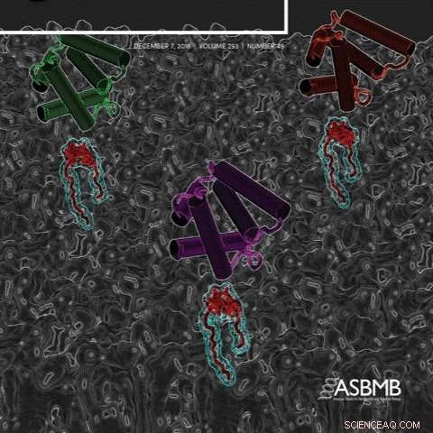 New Insight into Avian Sarcoma Virus Assembly: A 100-Year-Old Oncogenic Model Illuminates HIV-1 Research