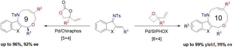 NUS Chemists Unveil New Pathway for Synthesizing Medium-Sized Ring Compounds