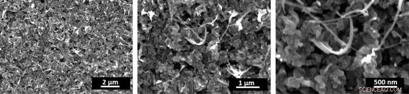 Recycling CO₂ into Valuable Fuels: Berkeley Lab Breakthrough Makes Carbon Energy Green