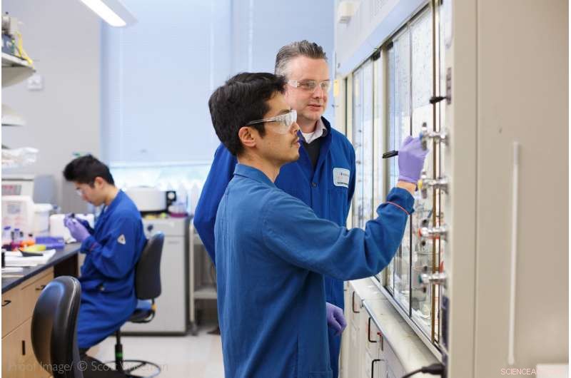 New RNA‑Binding Drug Blocks Genetic Causes of ALS and Frontotemporal Dementia