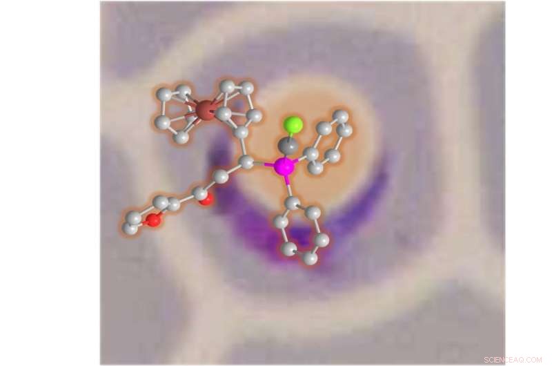 SUTD Researchers Unveil Gold‑Complexed Ferrocenyl Phosphines with Potent Antimalarial Efficacy