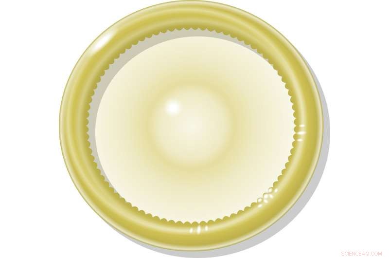 Spinifex Grass Could Strengthen Condoms, Enhancing Protection