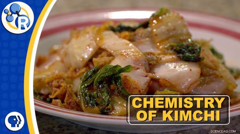 Video Explores What Gives Kimchi Its Signature Kick