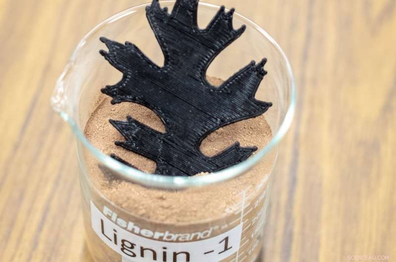 Oak Ridge Lab Develops Strong Lignin‑Nylon Composite for Sustainable 3D Printing