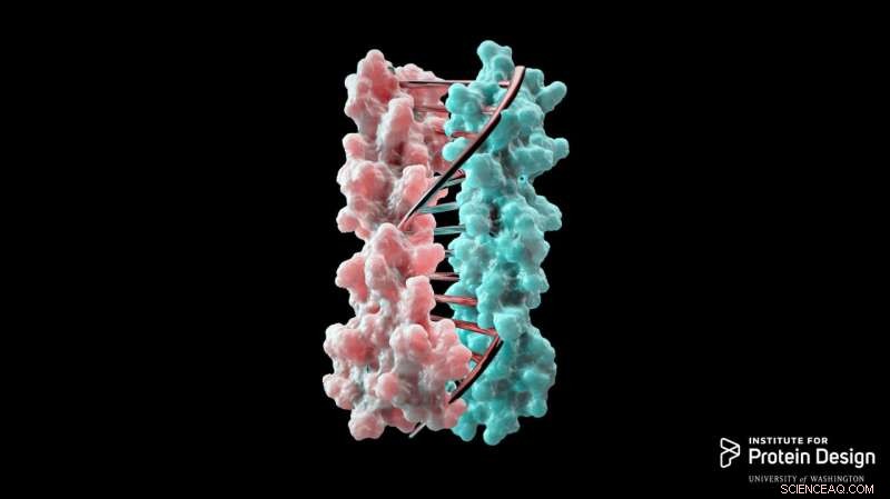 Scientists Engineer Proteins to Precisely Pair, Unlocking New Diagnostic and Therapeutic Possibilities