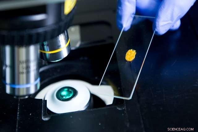 Advanced Thermal Energy Storage: How Materials Capture Heat When Melting and Release It Upon Solidification
